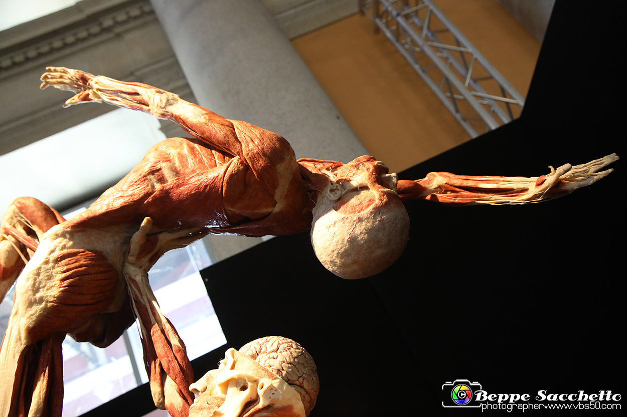 VBS_2896 - Mostra Body Worlds.jpg